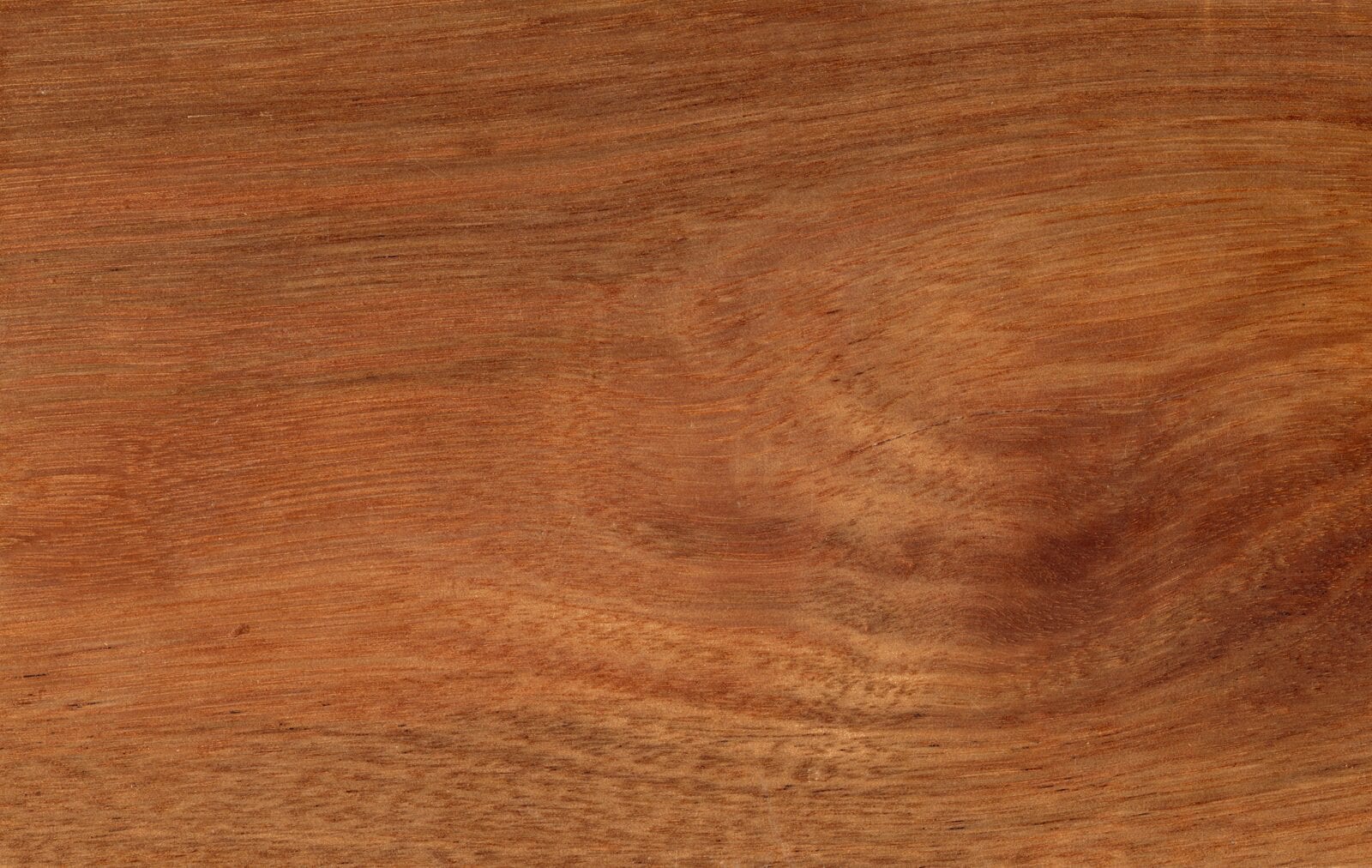 solid_wood_northern_brushbox