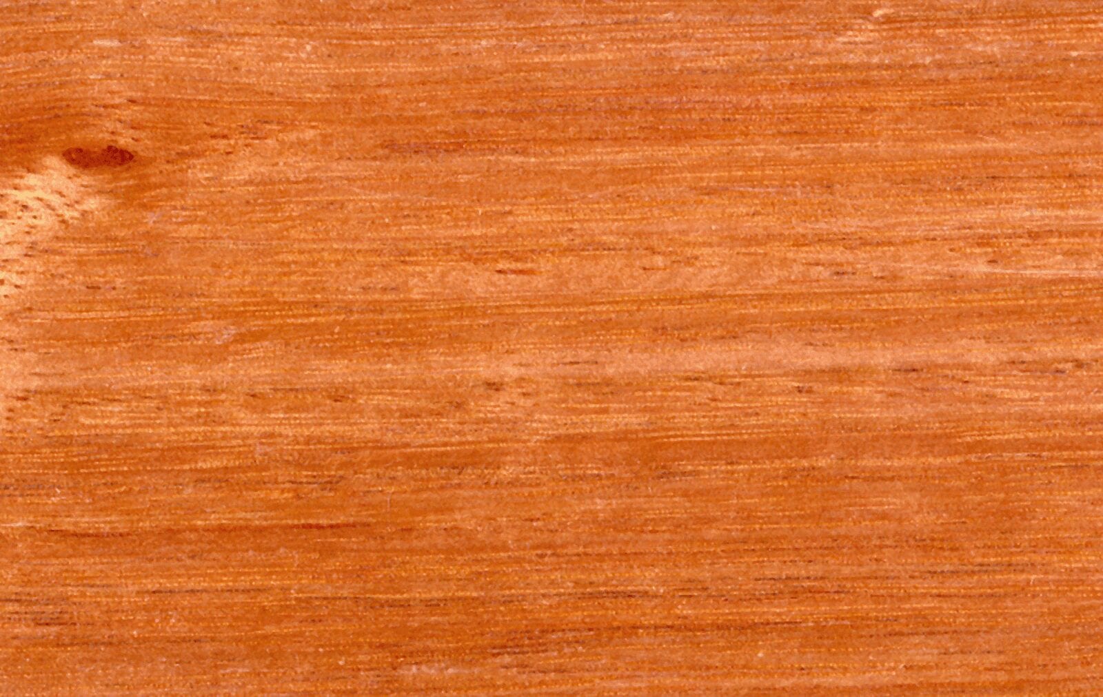 solid_wood_saligna